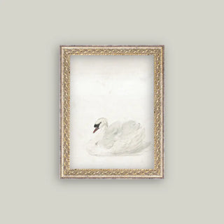 Swan Framed Wall Art