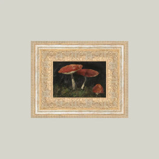 Vintage Mushroom Framed Wall Art