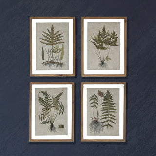 Green Botanical Framed Wall Art (four styles)