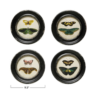 Moth + Butterfly Framed Wall Art (four styles)