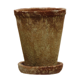 Distressed Cement Planter with Saucer, Set of 2