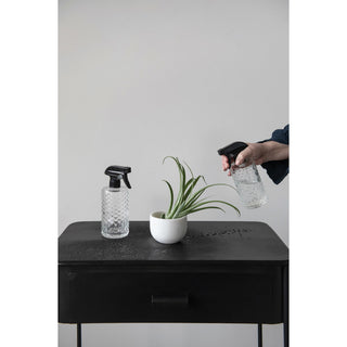 Glass Spray Bottle (two styles)