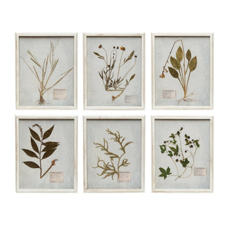 FINAL SALE Elise Botanical Wall Art (more styles)