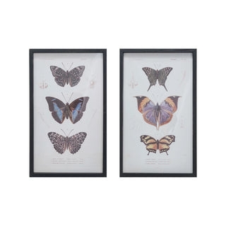 Butterfly + Insect Framed Wall Art (two styles)