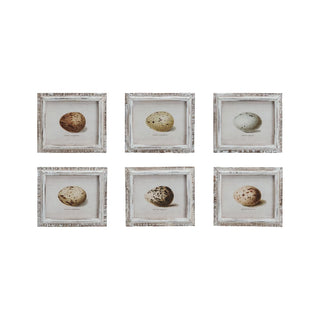 FINAL SALE Egg Print Framed Wall Art (more styles)