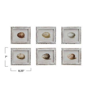 Egg Print Framed Wall Art (more styles)