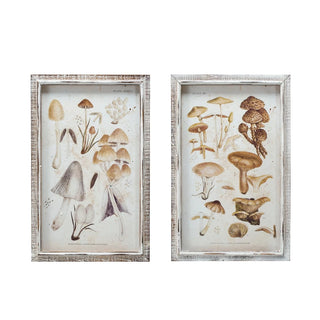 Mushroom Framed Wall Art Under Glass