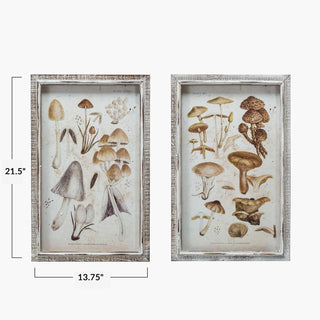 FINAL SALE Mushroom Framed Wall Art Under Glass