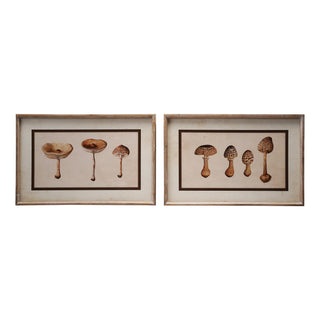 Wood Framed Glass Wall Décor with Mushrooms, 2 Styles