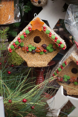 Fruit Casita Bird House Feeder