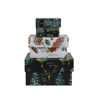 Evergreen Gift Boxes