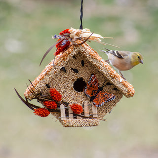 Wren Butterfly Casita Seed Birdhouse