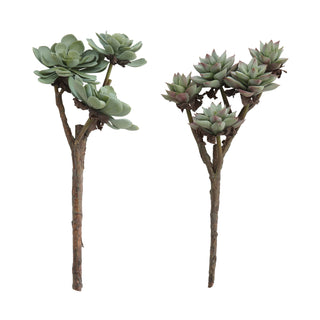 FINAL SALE Faux Succulent Branch