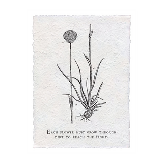 Handmade Paper Print (Botanicals)