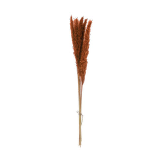 25" Saffron Orange Pampas Bundle